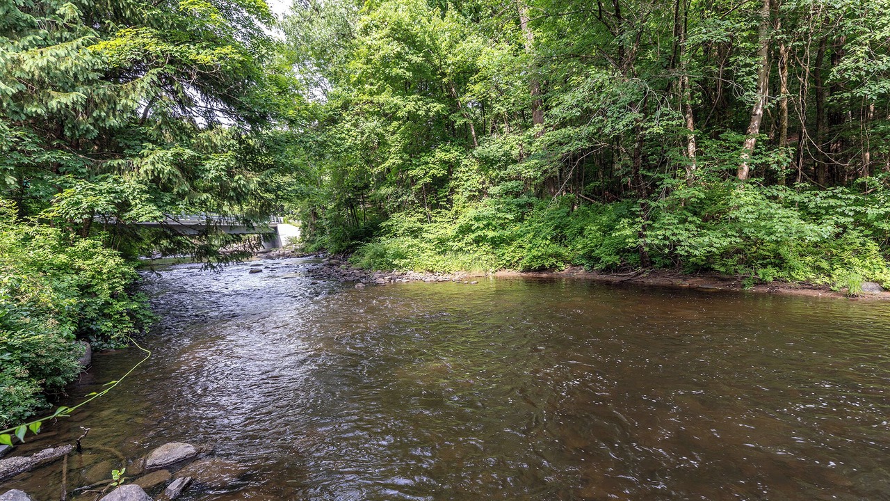 Photo of Outdoor in Lakeside