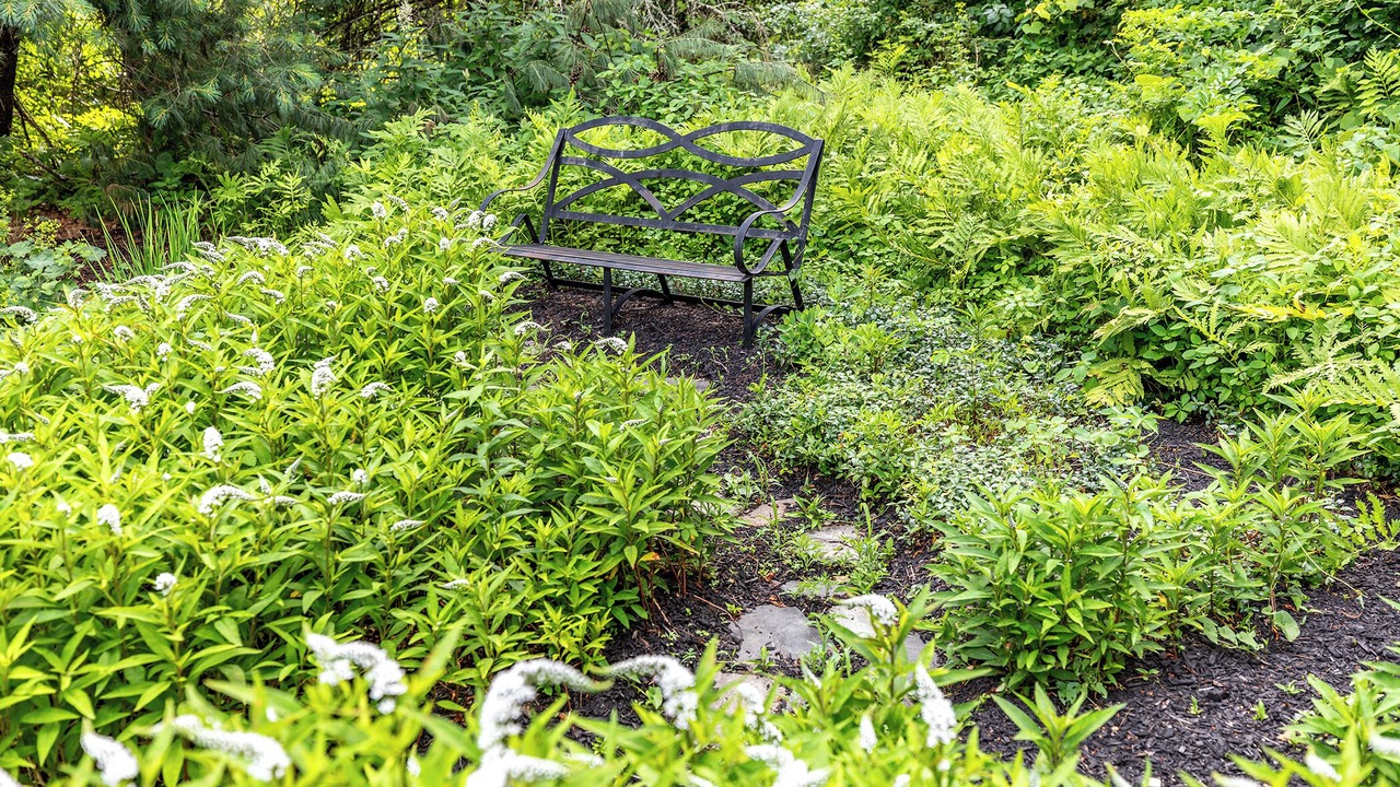 Photo of Outdoor in Lakeside