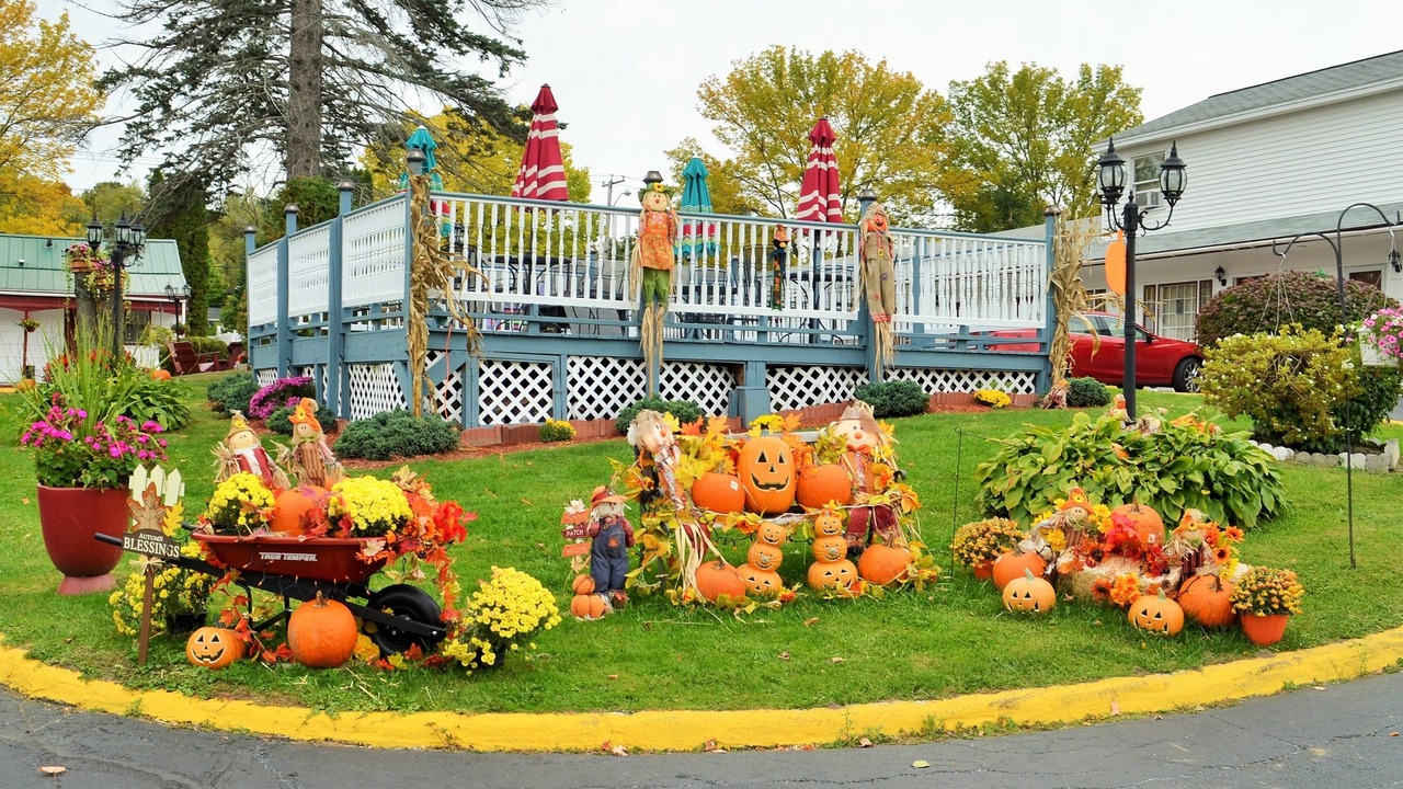 Photo of Outdoor in Williamstown