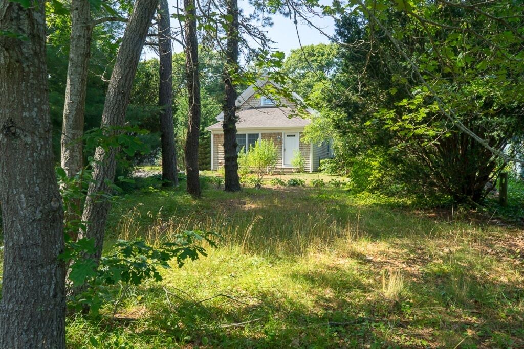 Photo of Outdoor in New Seabury