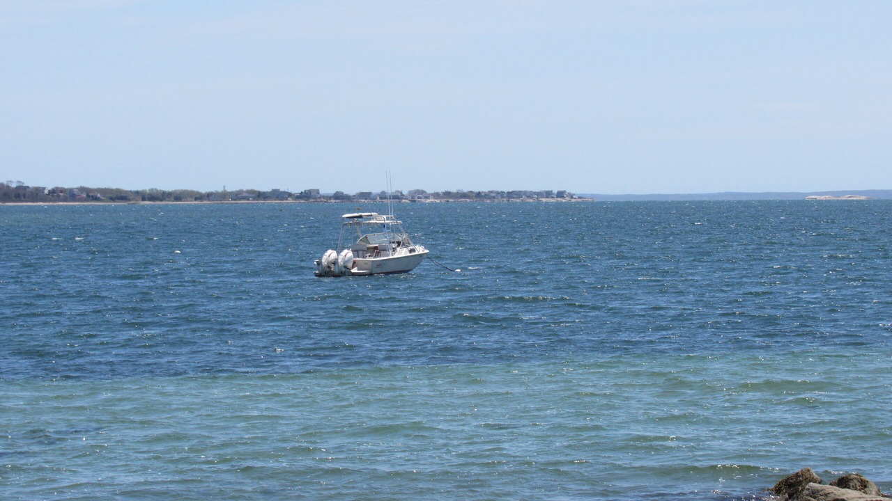 Photo of Others in Fairhaven