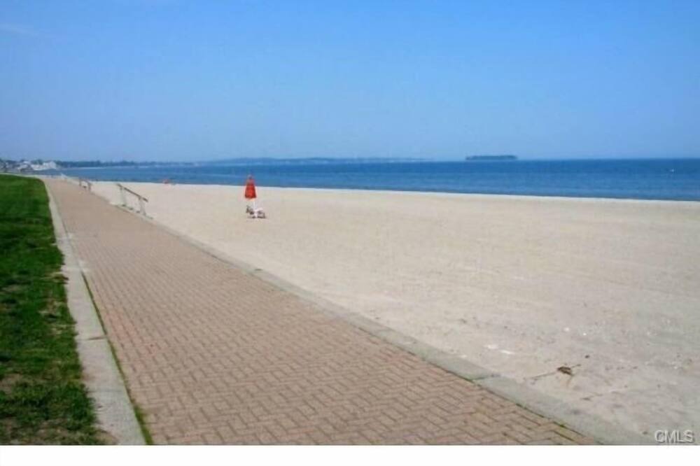 Photo of Others in Devon