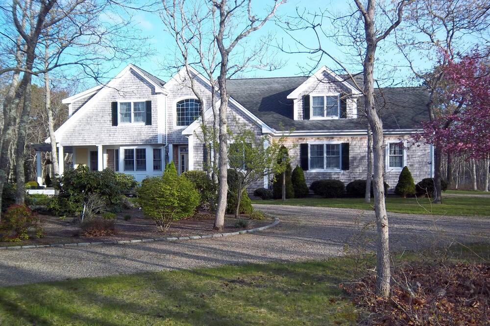 Photo of Others in West Tisbury