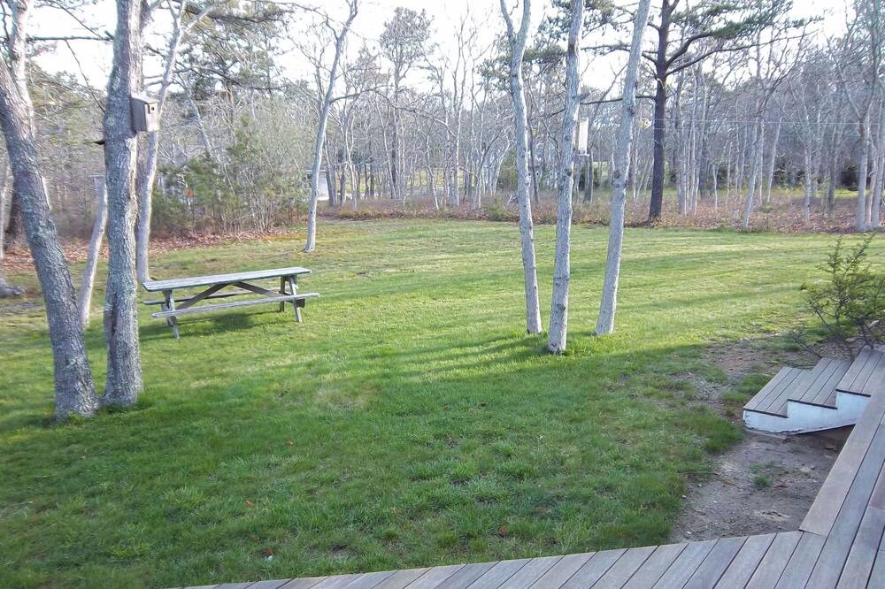Photo of Others in West Tisbury