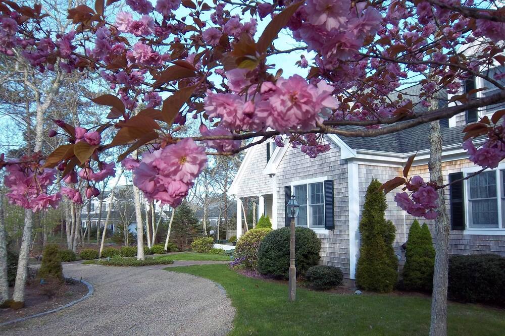 Photo of Others in West Tisbury