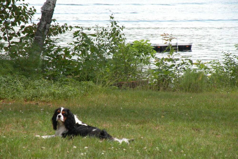 Photo of Others in Lyme Center
