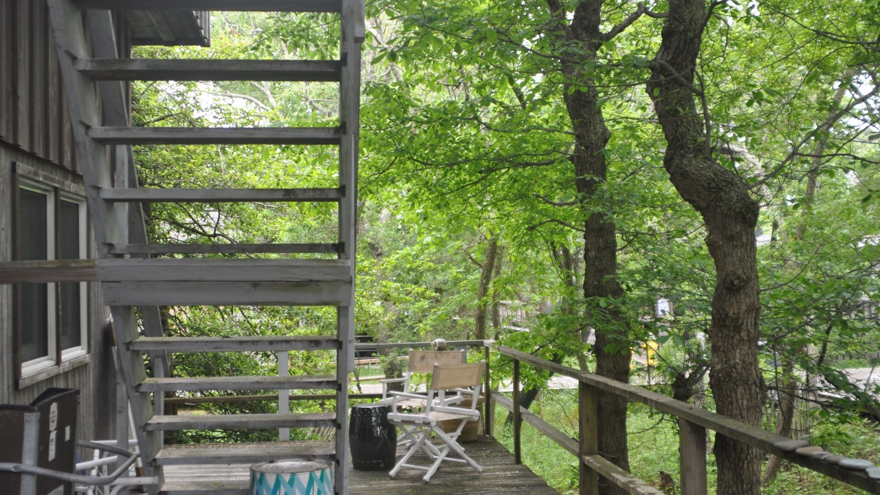 Photo of Outdoor in Davis Park