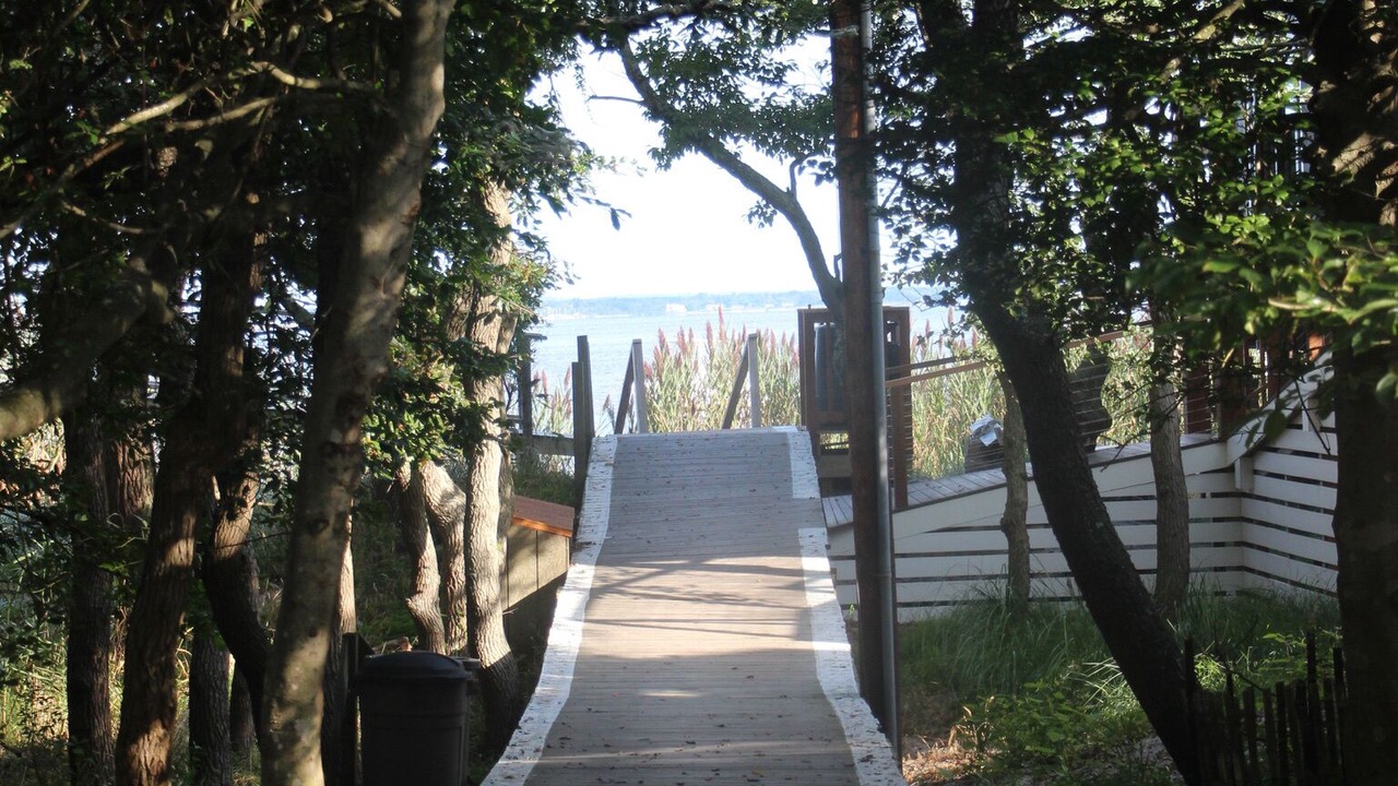 Photo of Outdoor in Davis Park
