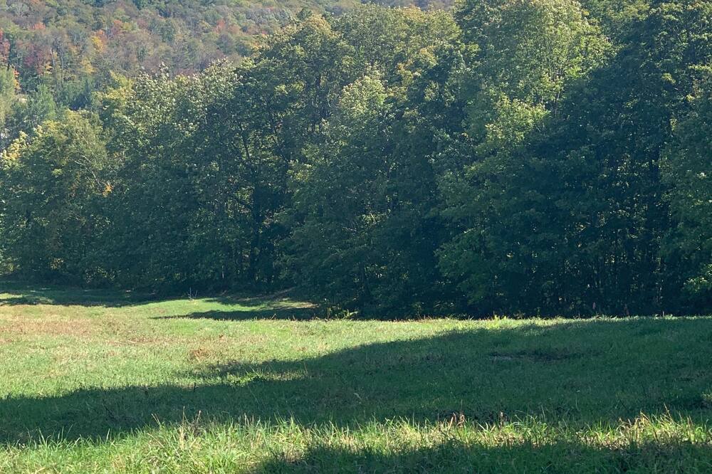 Photo of Others in Bromley Mountain