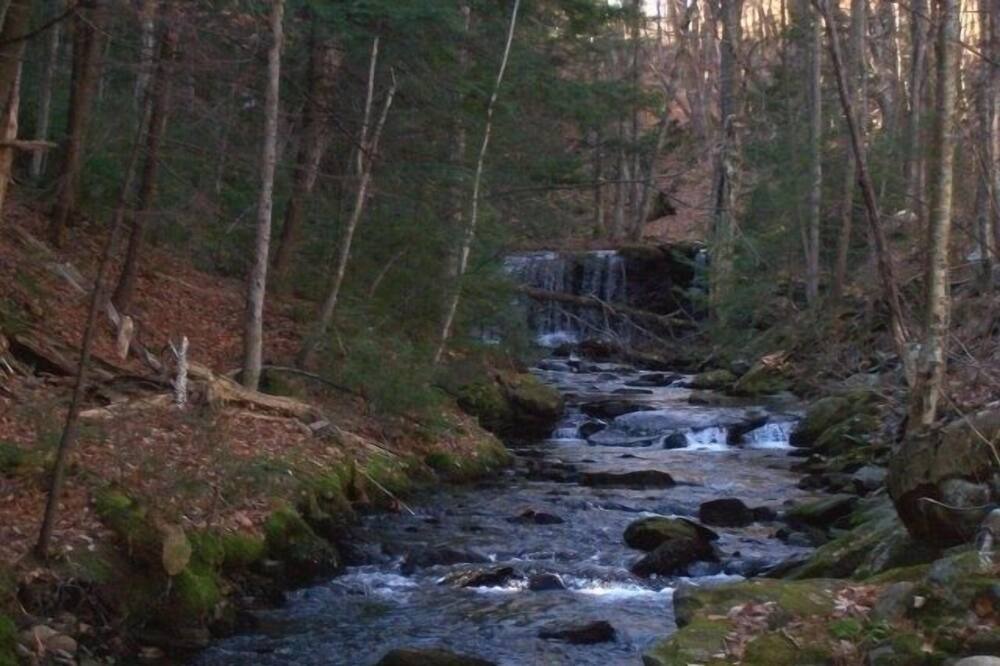 Photo of Others in Wardsboro