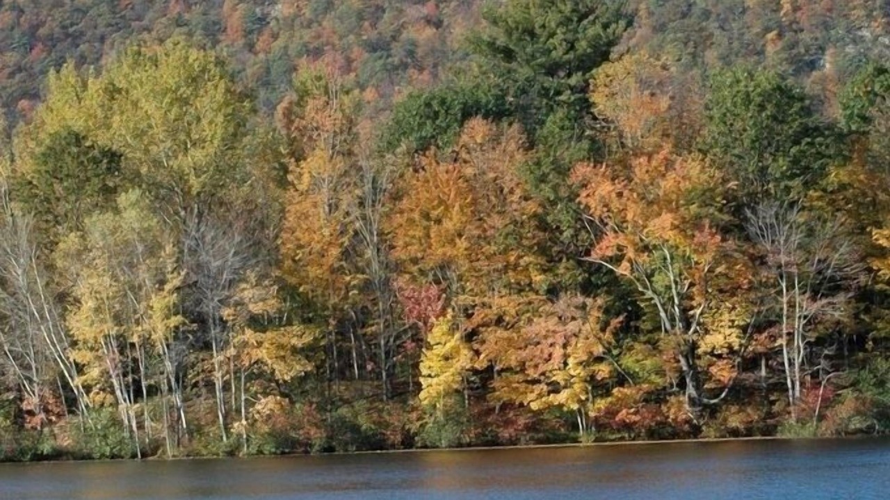 Photo of Others in Pine Plains