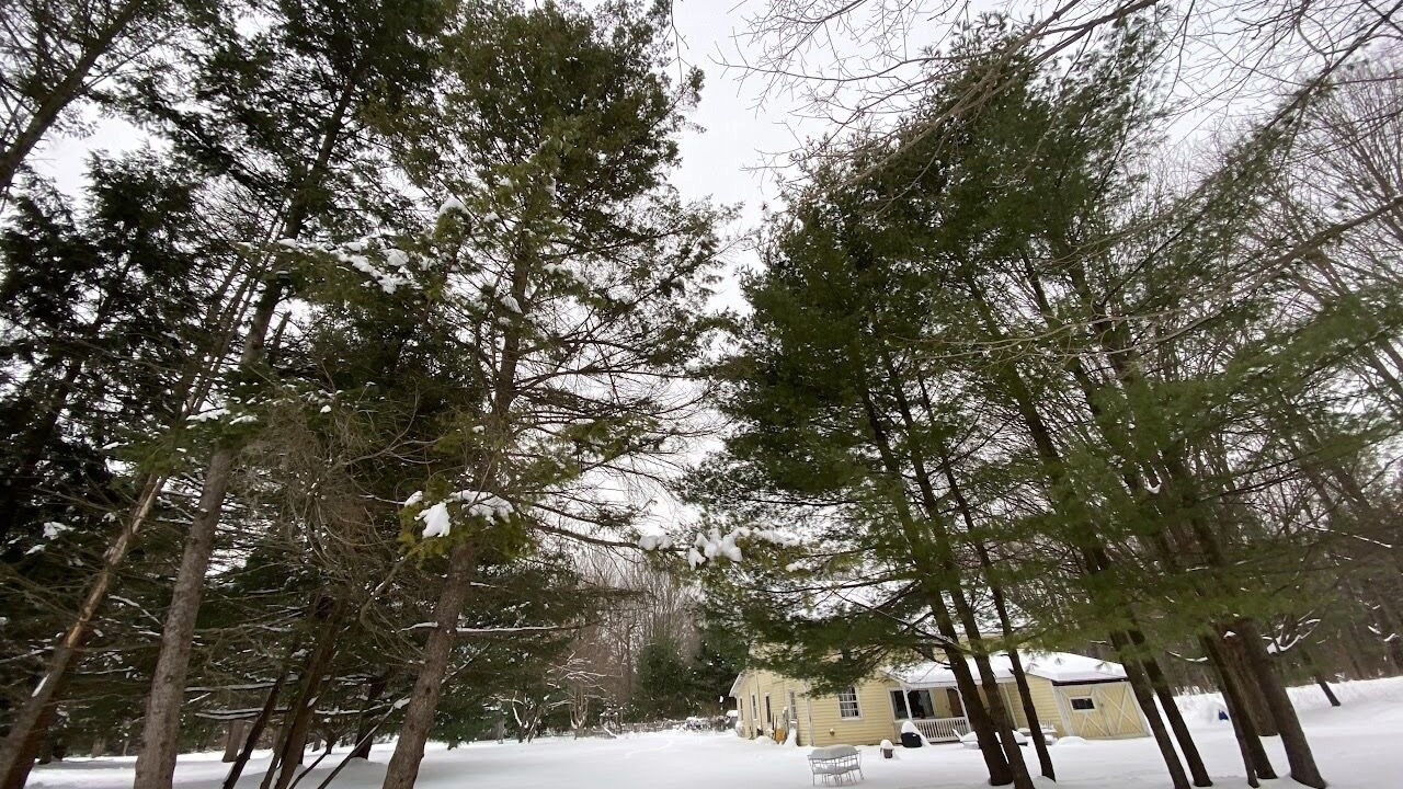 Photo of Others in Pine Plains