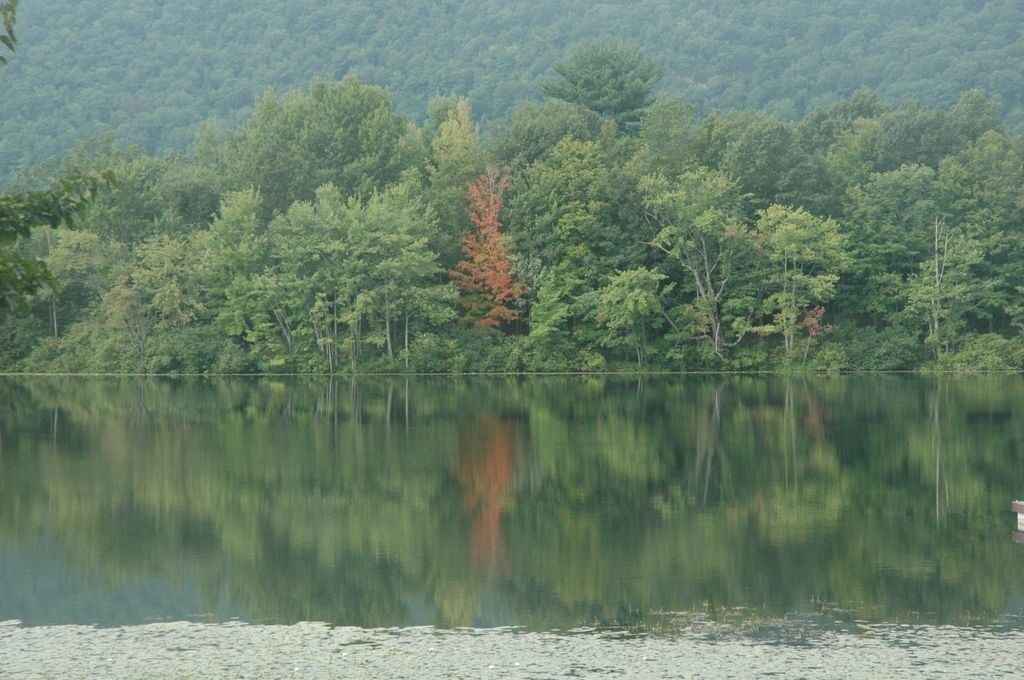 Photo of Outdoor in Pine Plains