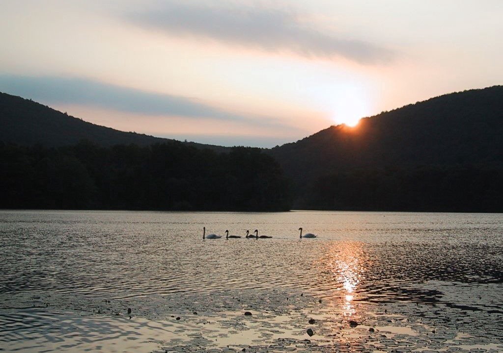 Photo of Others in Pine Plains