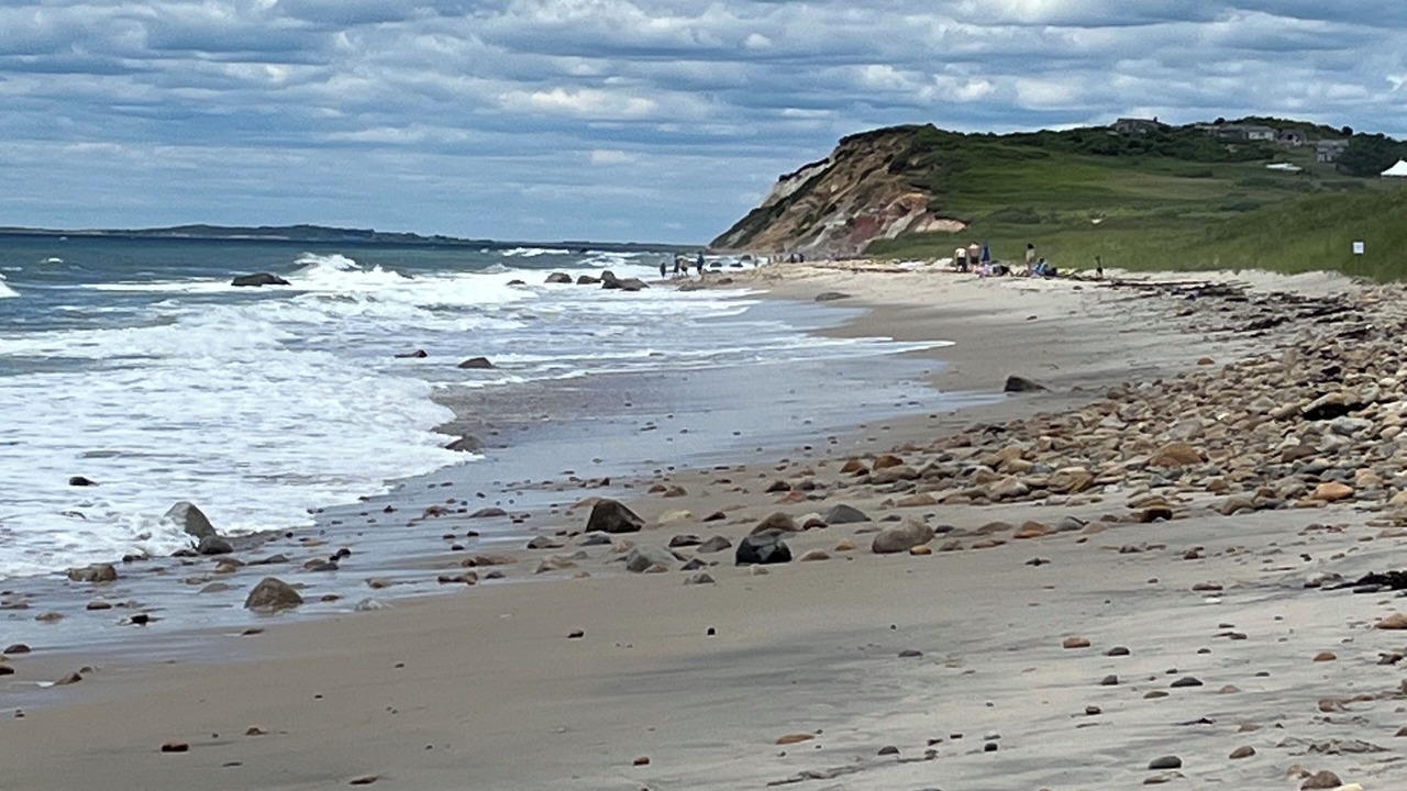 Photo of Others in Tisbury