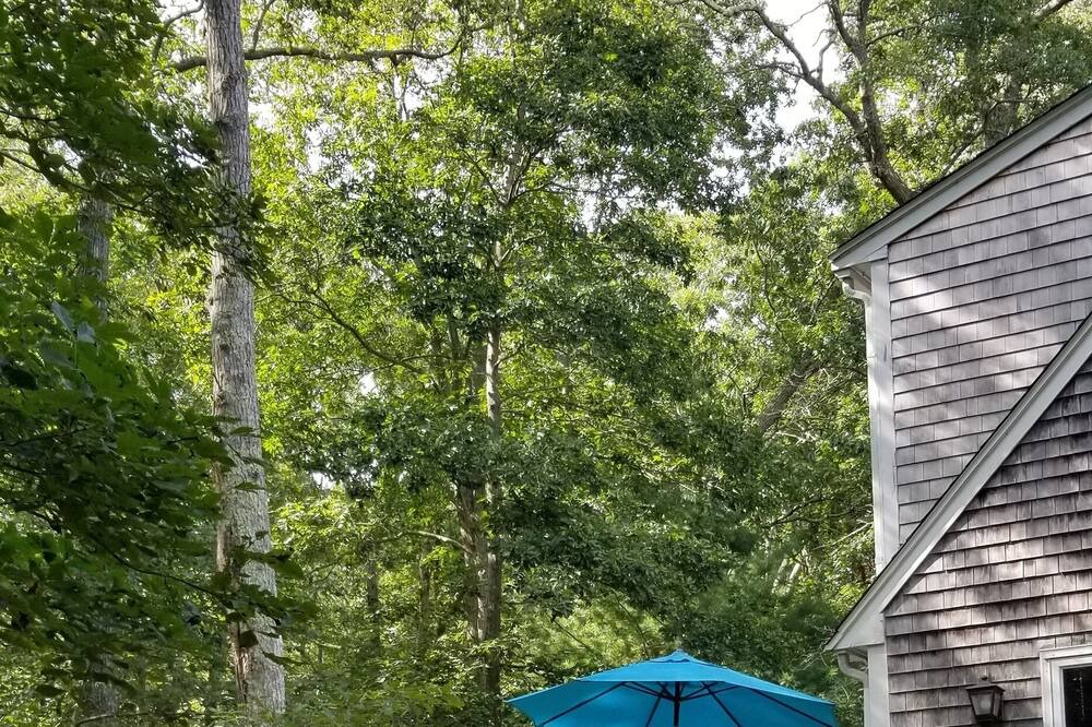 Photo of Others in West Tisbury