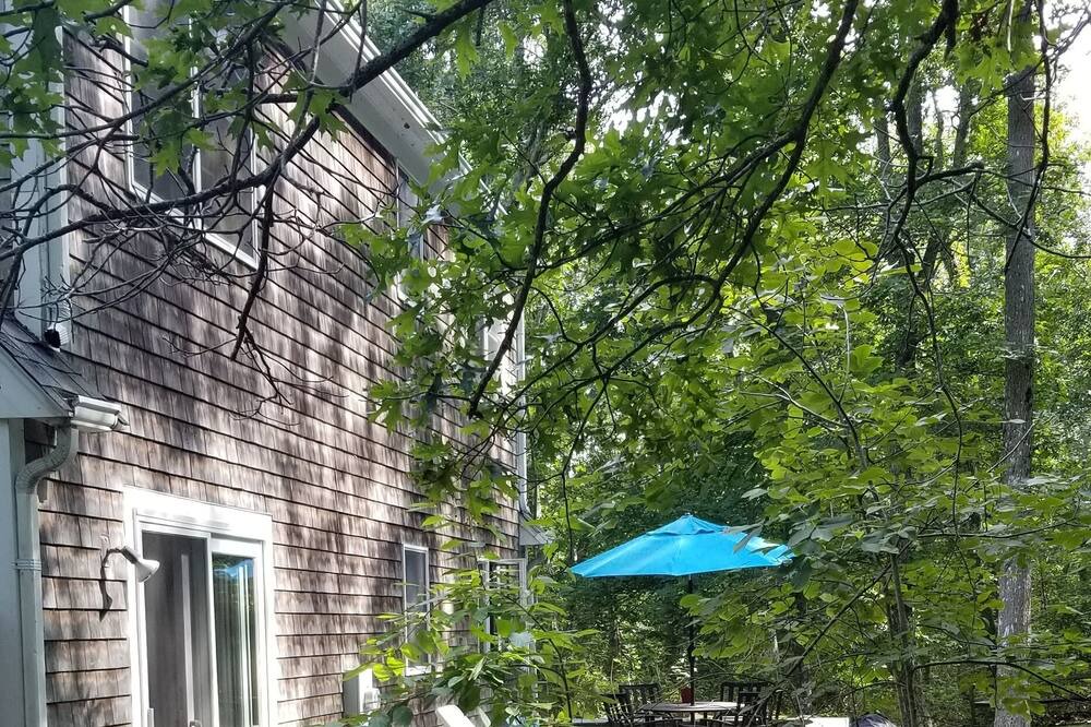 Photo of Others in West Tisbury