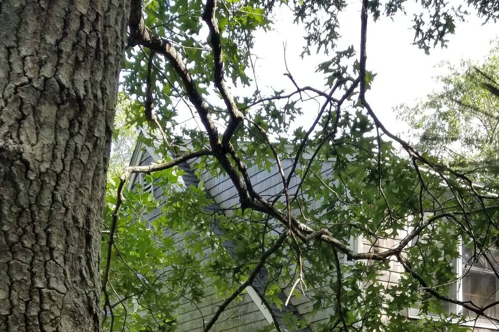 Photo of Outdoor in West Tisbury
