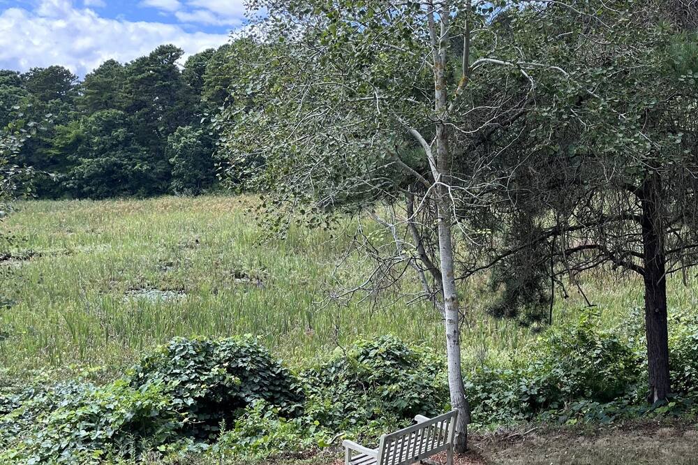 Photo of Outdoor in North Chatham