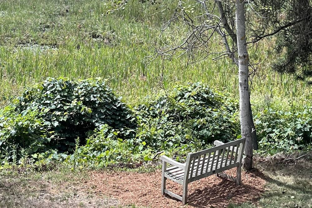 Photo of Outdoor in North Chatham