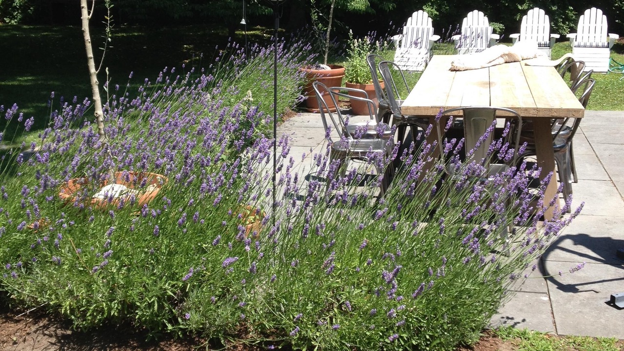 Photo of Outdoor in Top of the Hill