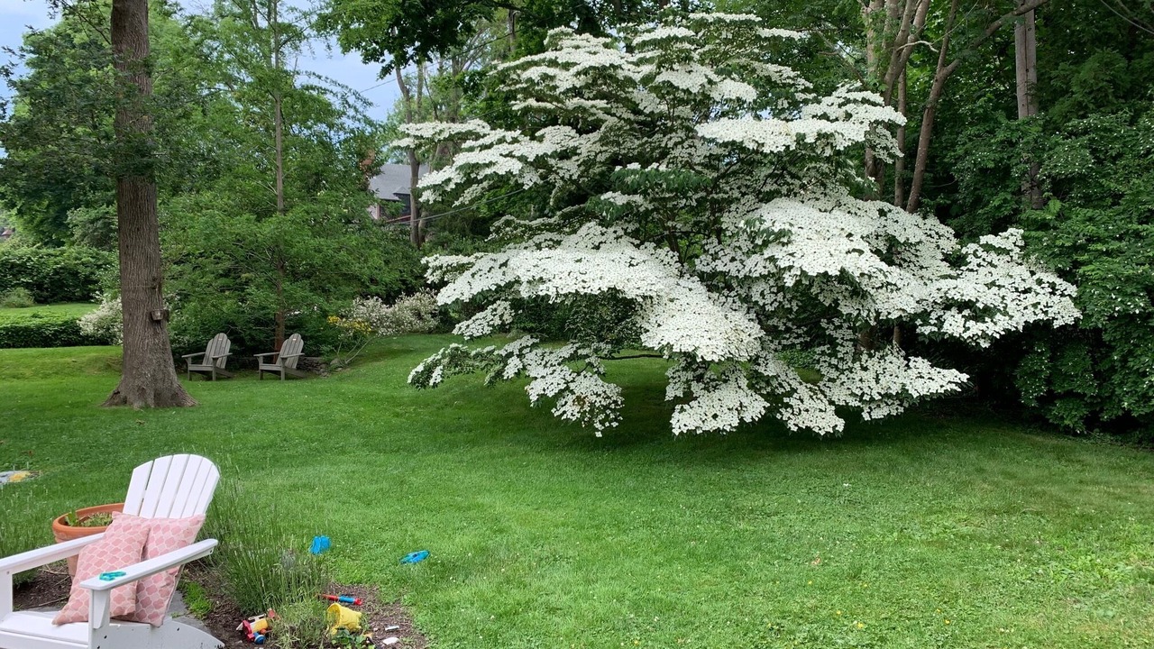 Photo of Outdoor in Top of the Hill