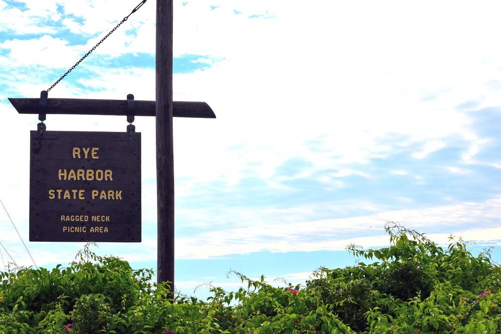 Photo of Outdoor in Rye