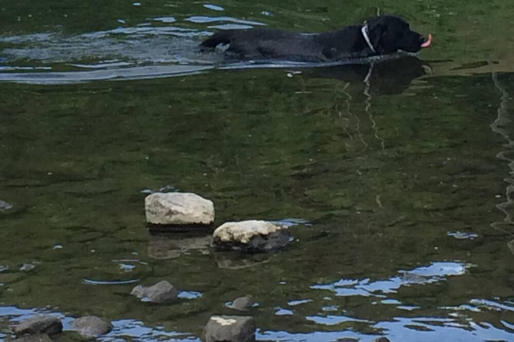 Photo of Others in Falls Village