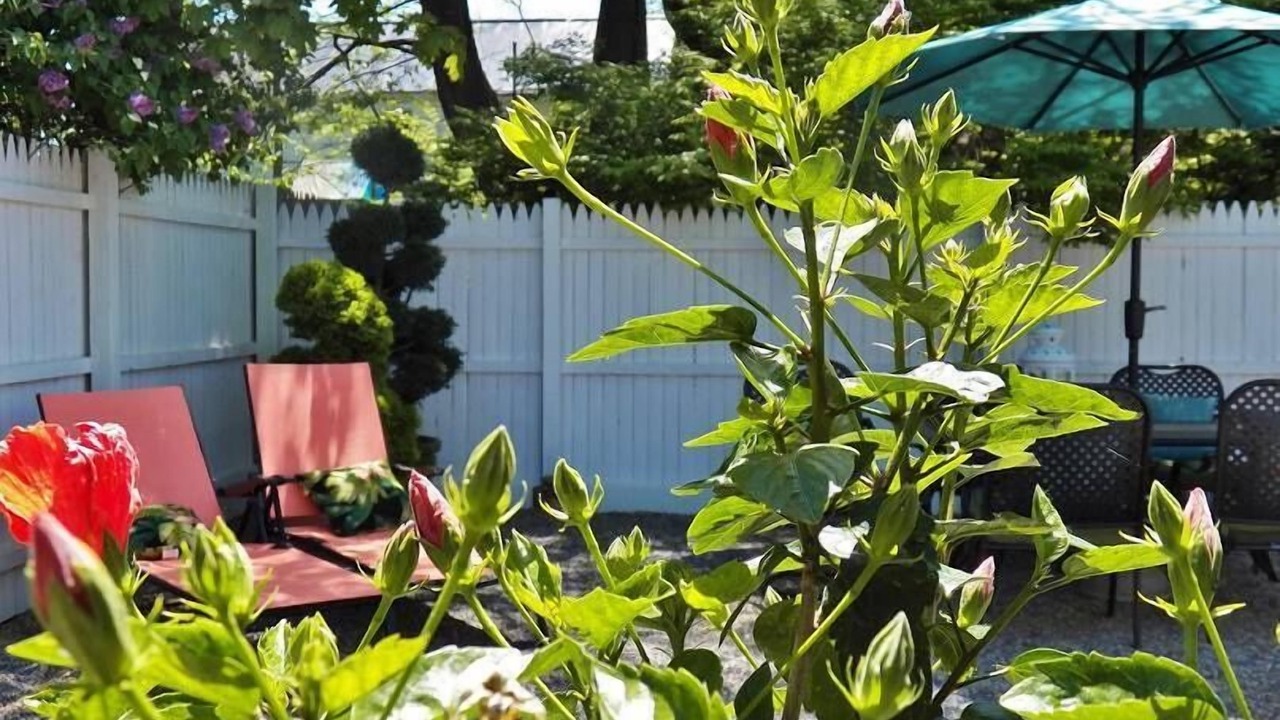 Photo of Outdoor in Brunswick