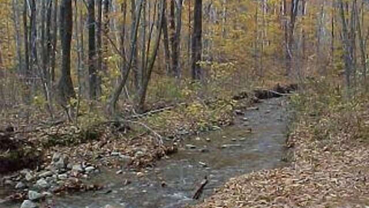 Photo of Outdoor in Bryant Pond