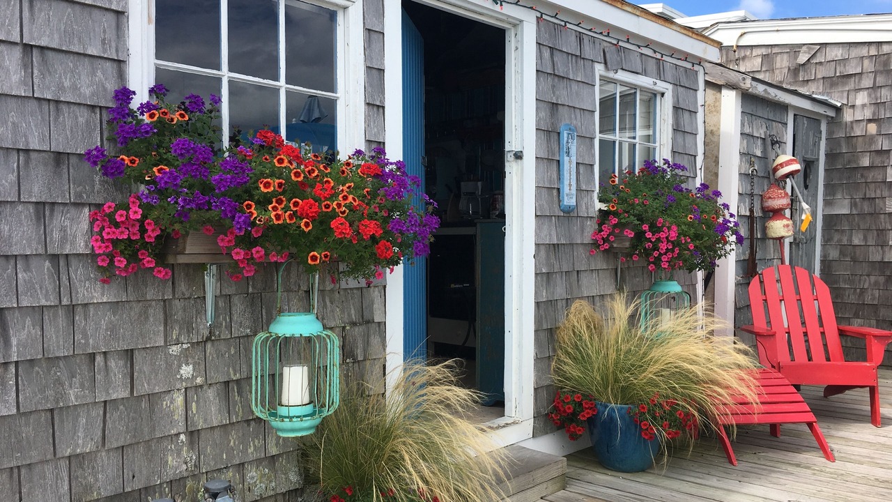 Photo of Outdoor in Provincetown