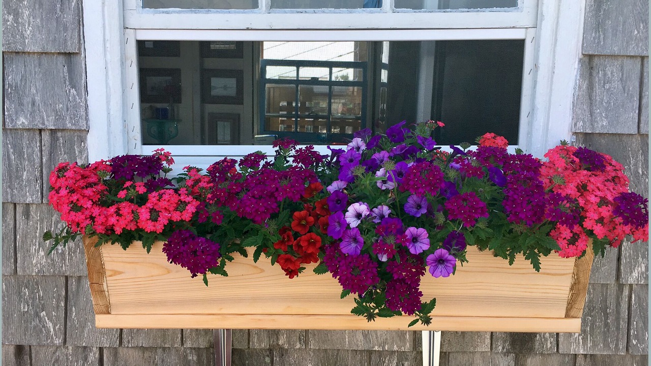 Photo of Outdoor in Provincetown