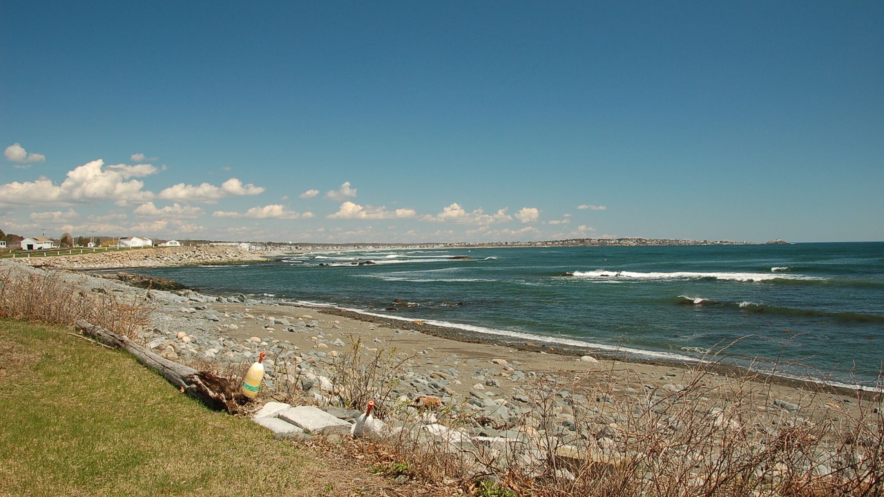 Photo of Others in York Harbor