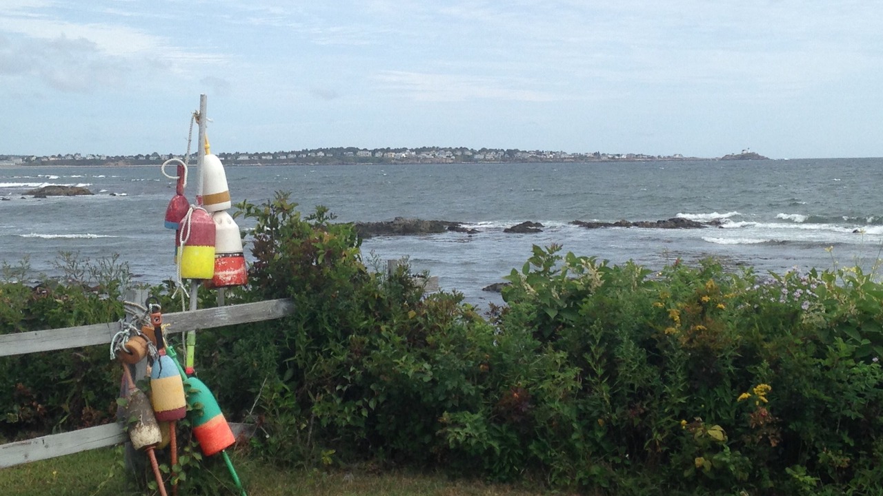 Photo of Others in York Harbor