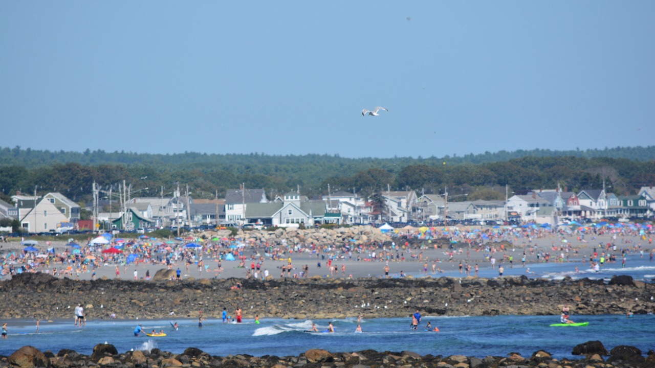 Photo of Others in York Harbor