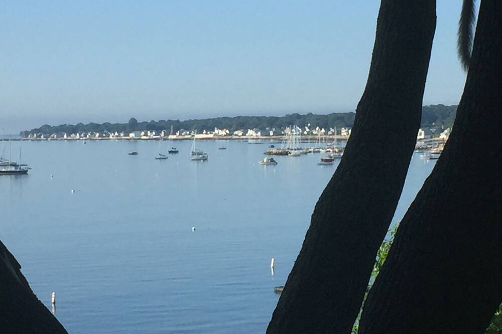 Photo of Others in Niantic