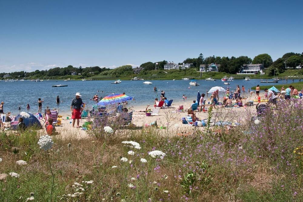 Photo of Others in Chatham