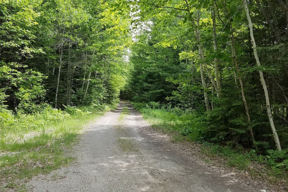 Photo of Others in Rangeley