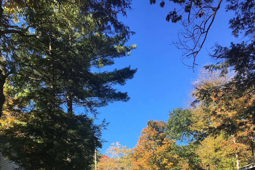 Photo of Outdoor in Otis