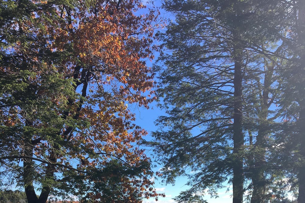 Photo of Outdoor in Otis