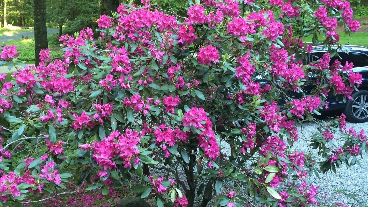 Photo of Outdoor in Danbury