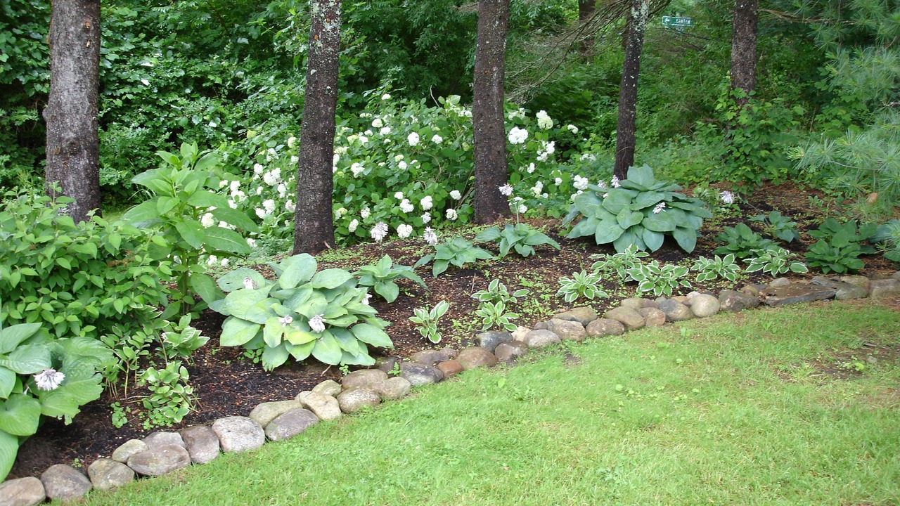 Photo of Outdoor in New Preston