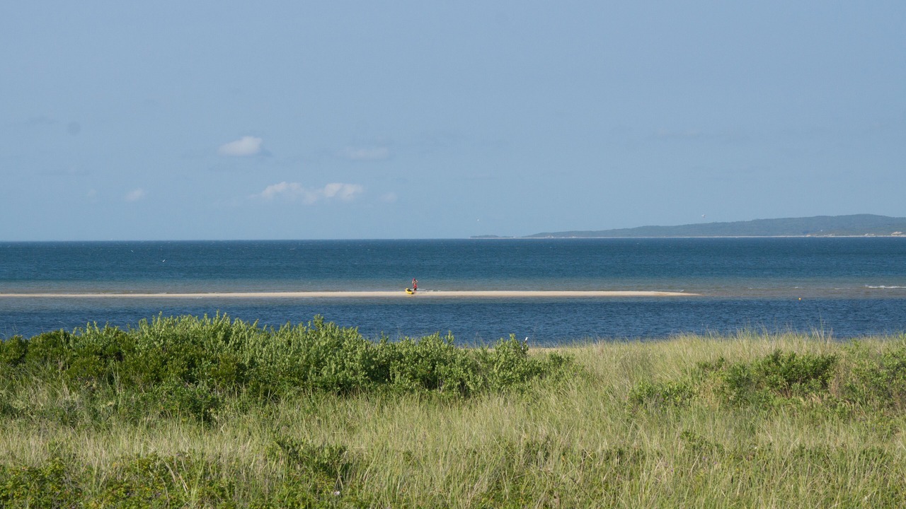 Photo of Others in Aquinnah