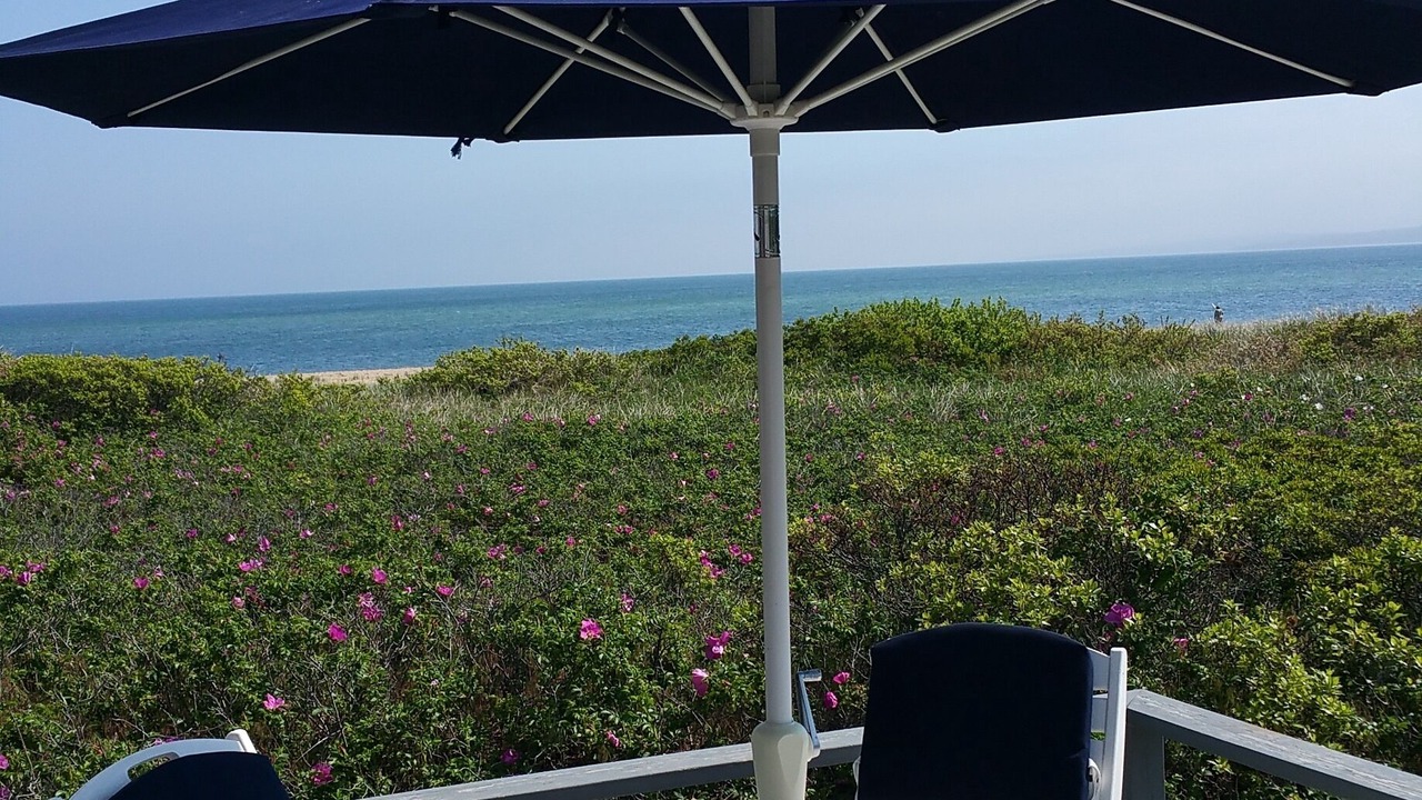 Photo of Outdoor in Aquinnah
