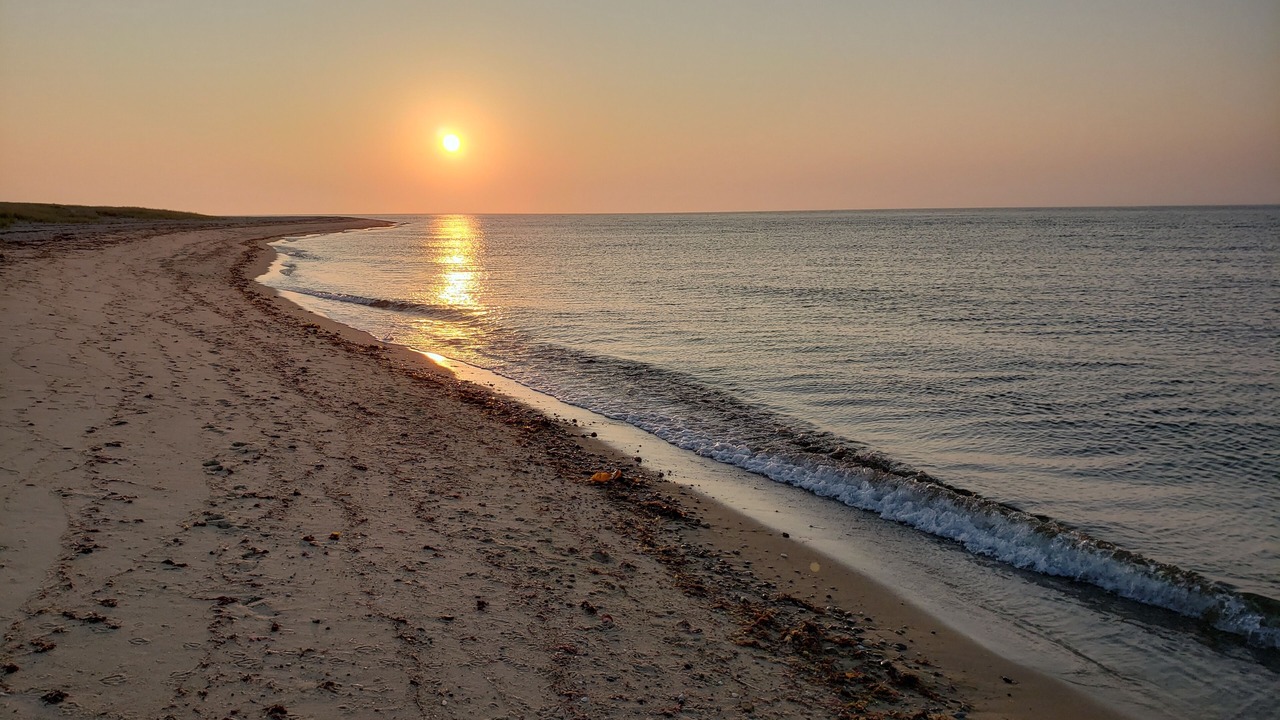 Photo of Others in Aquinnah