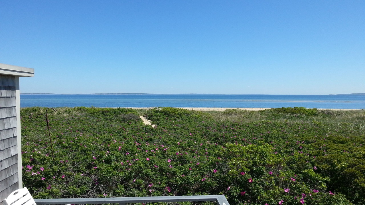 Photo of Outdoor in Aquinnah