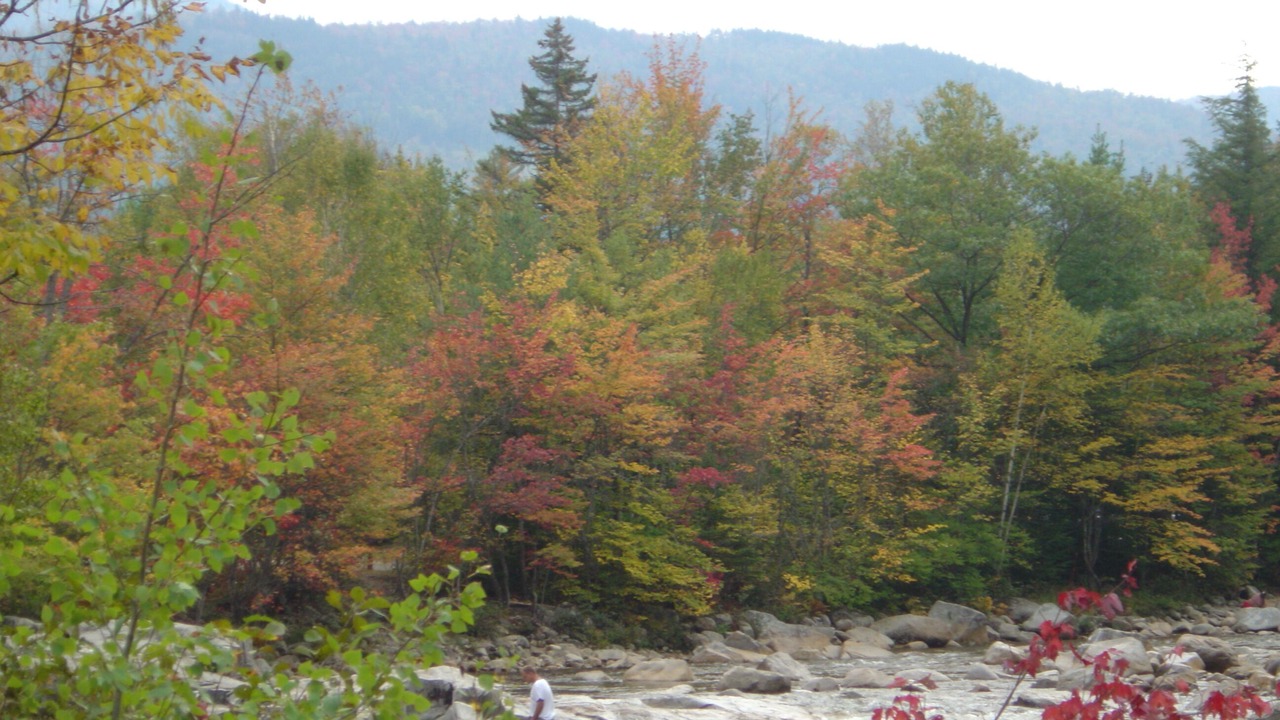 Photo of Outdoor in Bartlett