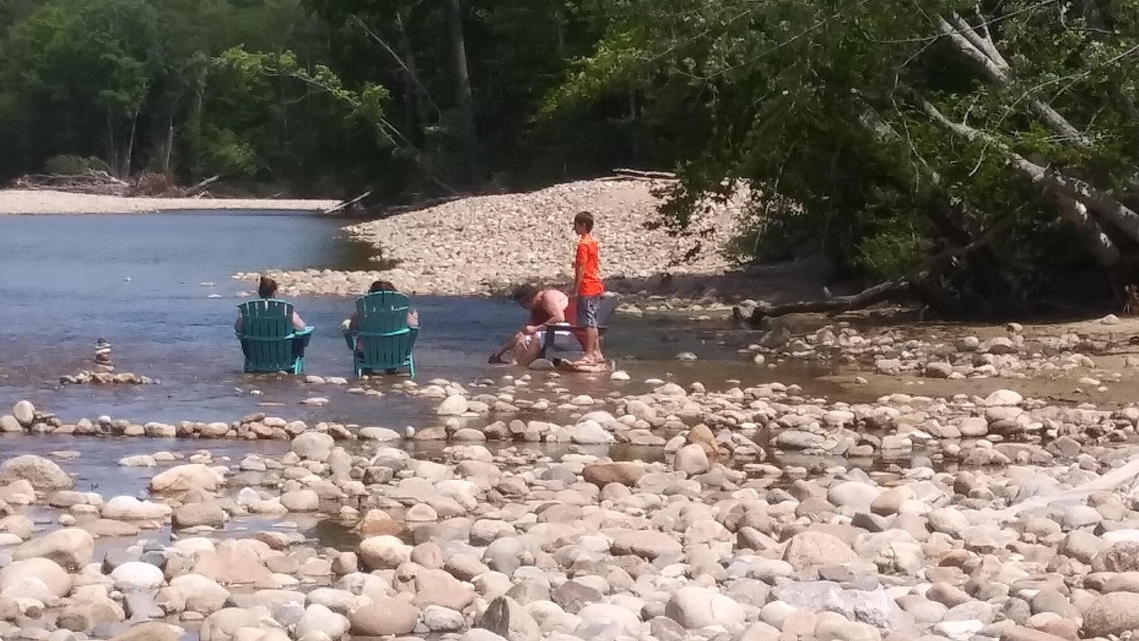 Photo of Others in Bartlett