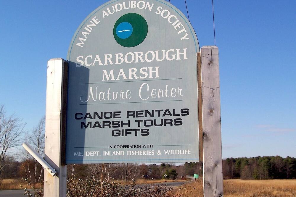 Photo of Others in Scarborough