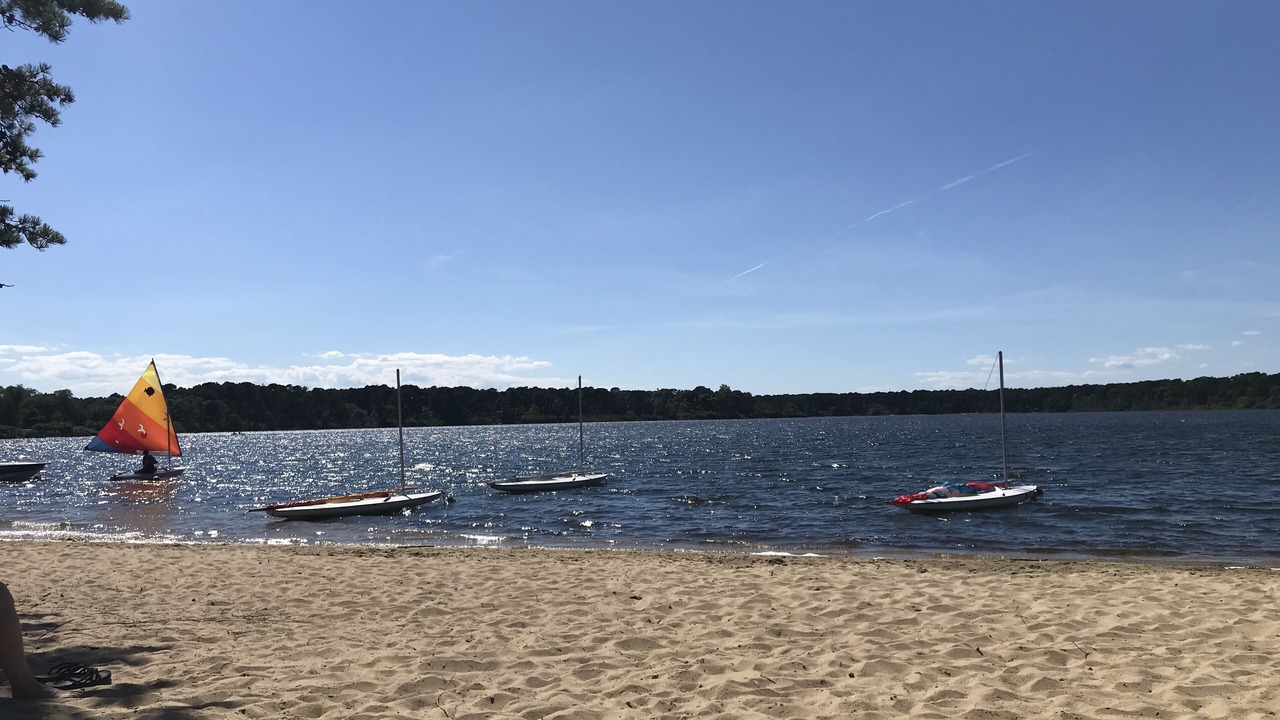 Photo of Others in Eastham